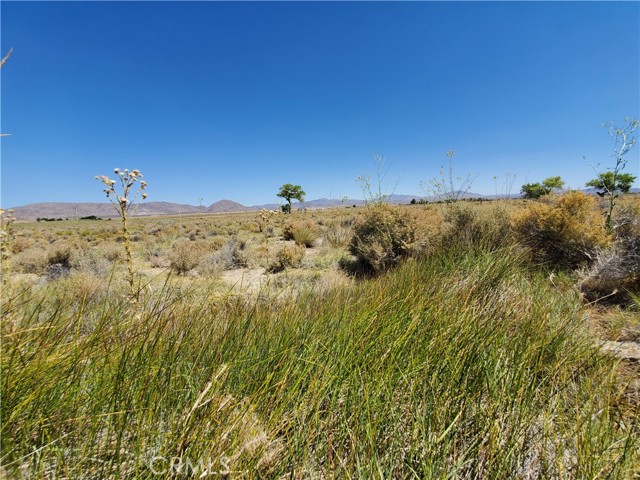 Detail Gallery Image 14 of 22 For 32500 California 18 Hwy, Lucerne Valley,  CA 92356 - – Beds | – Baths