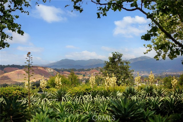 15 Beacon, Ladera Ranch CA: https://media.crmls.org/medias/80fcc72f-06ac-45dc-95a2-7a8e1f30478d.jpg