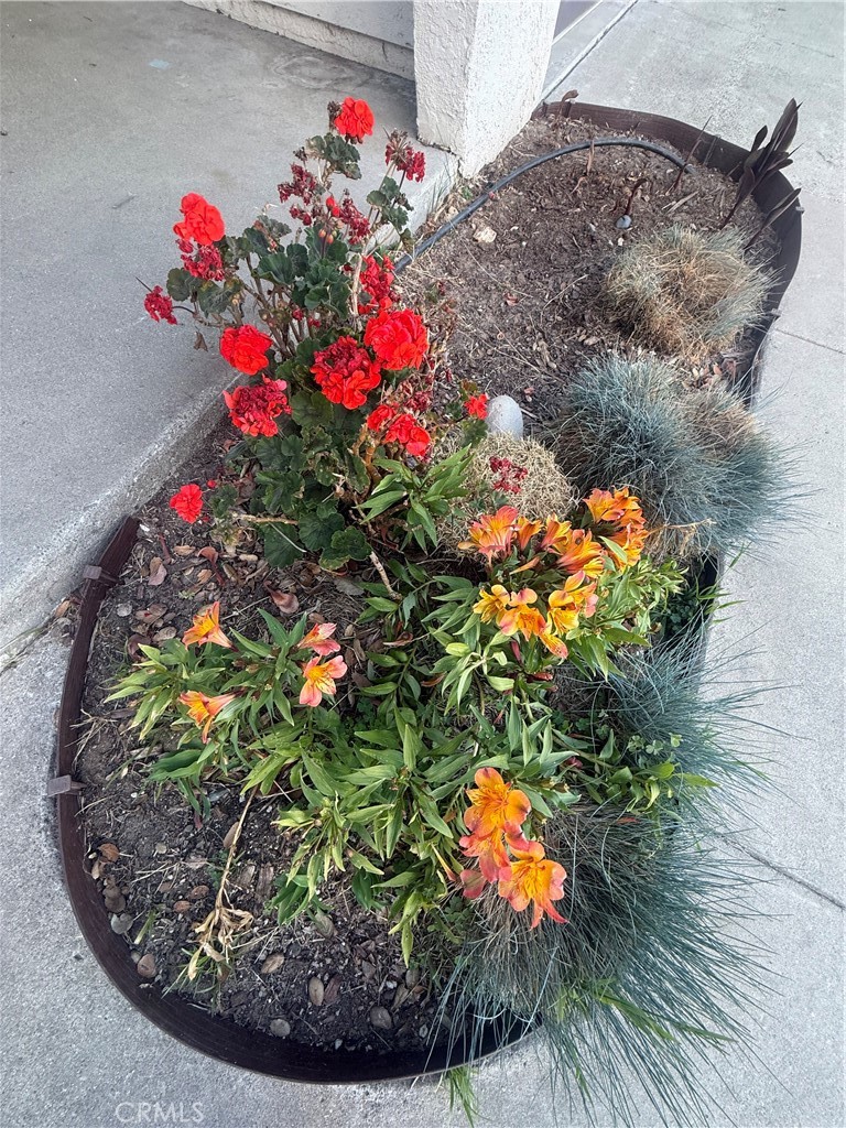 https://media.crmls.org/medias/80fde4f6-7b91-4c2d-986e-b32e0a358e58.jpg?preset=X-Large