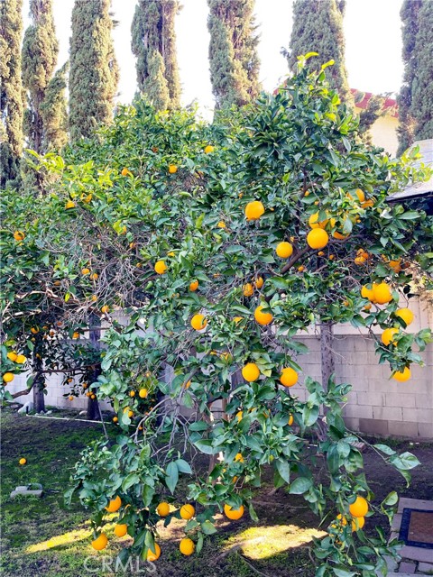 Detail Gallery Image 21 of 30 For 13842 Olive St, Baldwin Park,  CA 91706 - 4 Beds | 2 Baths