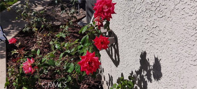 Detail Gallery Image 33 of 41 For 4807 Bentree Ave, Long Beach,  CA 90807 - 3 Beds | 2 Baths