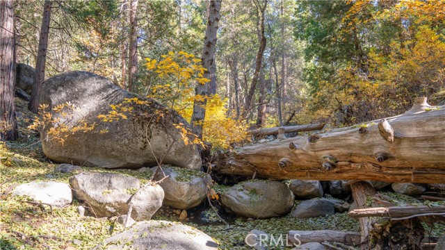 Detail Gallery Image 48 of 48 For 25201 Fern Valley Rd, Idyllwild,  CA 92549 - 1 Beds | 1 Baths