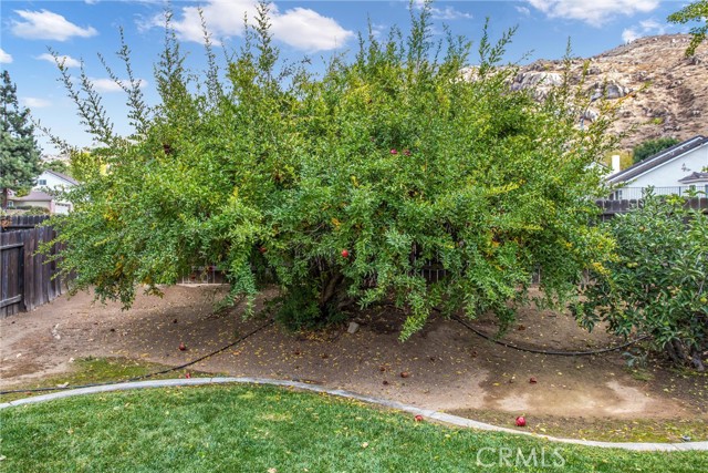 Detail Gallery Image 31 of 39 For 22944 Finch St, Grand Terrace,  CA 92313 - 4 Beds | 2 Baths