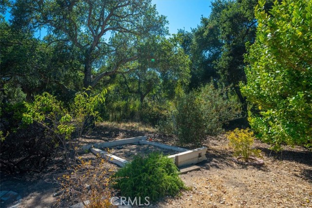 629 Shelter Ridge Place, Nipomo CA: https://media.crmls.org/medias/810fc1c7-e1d8-4bb8-b7d2-fd4a9cc49eb1.jpg