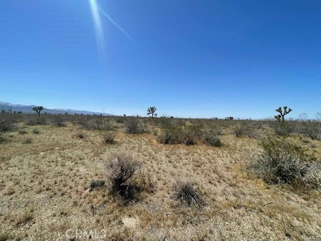 0 -Dos Palmas Rd., Pinon Hills, California 92372, ,Land,For Sale,0 -Dos Palmas Rd.,CREV23199555