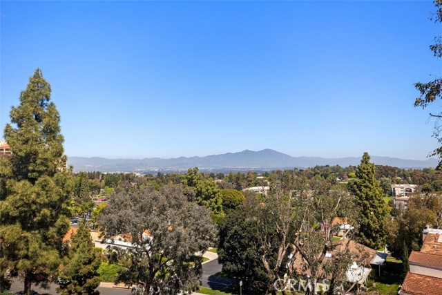 3336 Punta Alta, Laguna Woods CA: https://media.crmls.org/medias/8113ec5b-197d-4b4d-b8a8-5920297a0d3d.jpg