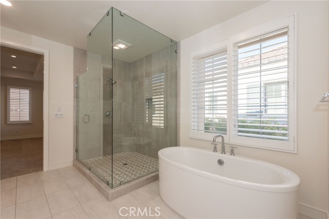 Master Bathroom view 2