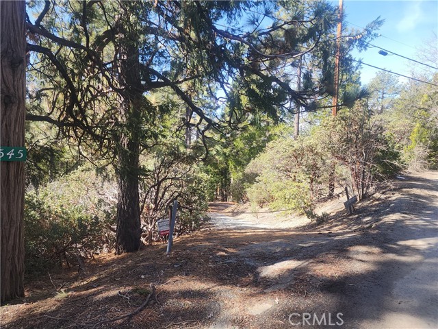 Image 2 for 52547 Pine Cove Rd, Idyllwild, CA 92549