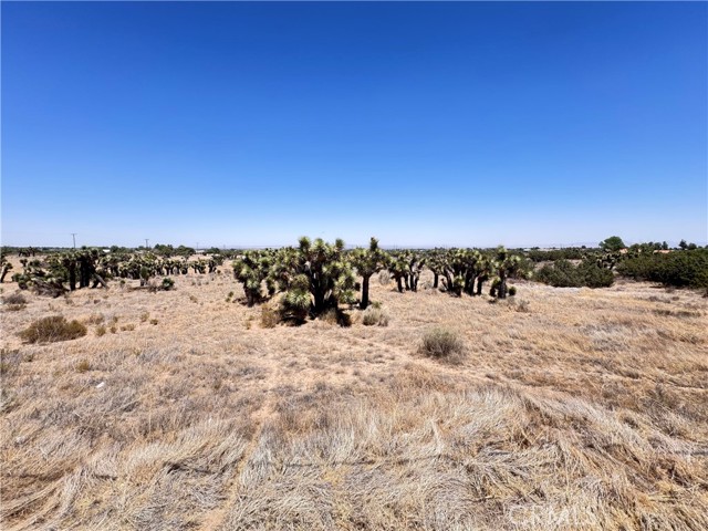 0 Sunnyslope Road, Phelan CA: https://media.crmls.org/medias/811b1916-9e9b-4f59-b6d3-9589c54a2f41.jpg