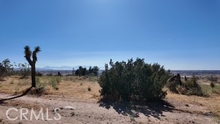 https://media.crmls.org/medias/8122643b-f82b-4ff3-a926-4ac7e1e6685b.jpg?preset=X-Large