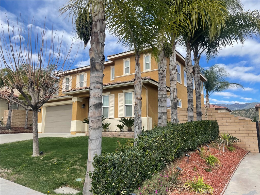 3991 Alpine Fir Court