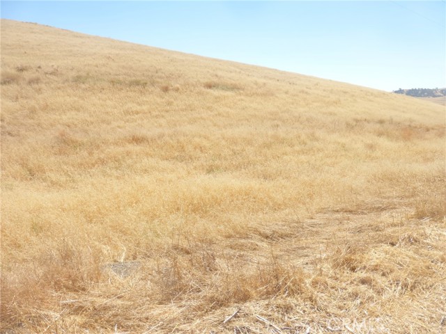 Detail Gallery Image 19 of 42 For 0 Douglas Rd. (Lots 40-43), San Miguel,  CA 93451 - – Beds | – Baths
