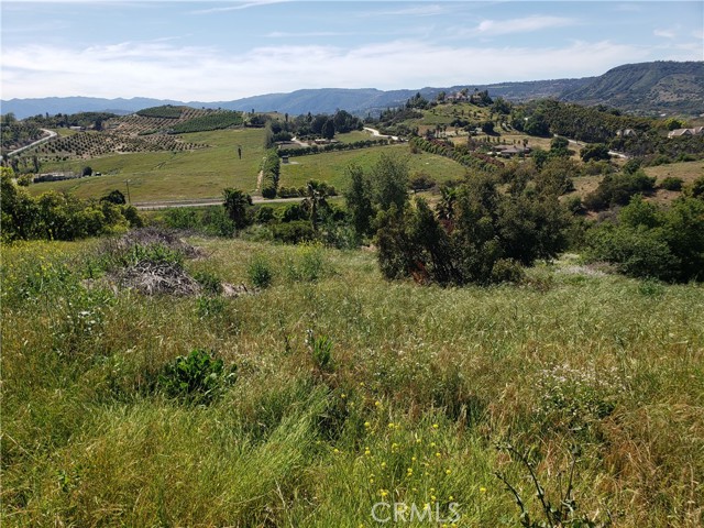 Detail Gallery Image 32 of 39 For 12 Carancho Rd, Temecula,  CA 92590 - – Beds | – Baths