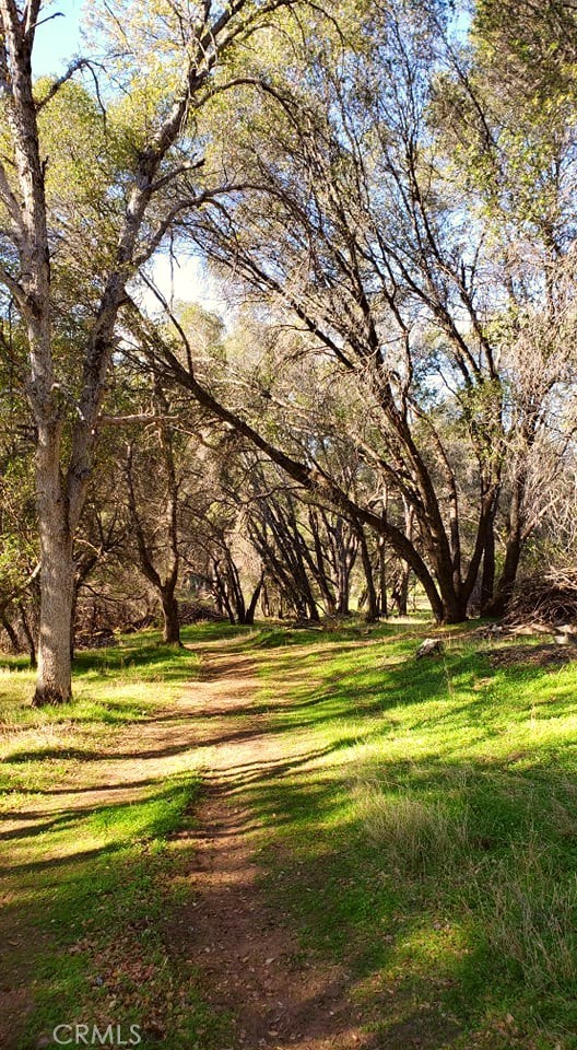 Detail Gallery Image 12 of 15 For 0 Unassigned Boyer Rd, Mariposa,  CA 95338 - – Beds | – Baths