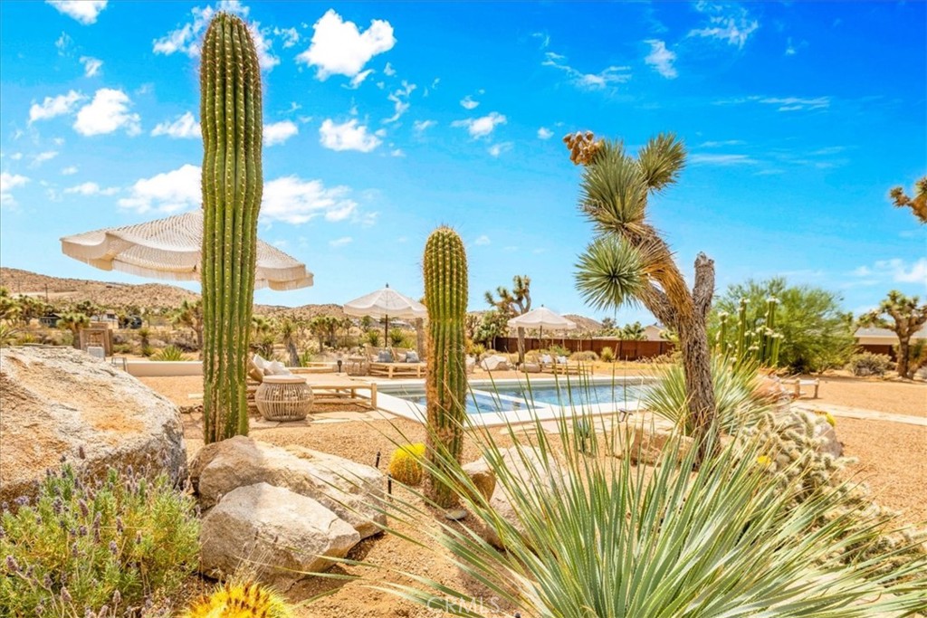 MLS #JT25259946 image #57