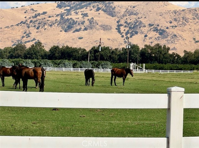 Detail Gallery Image 3 of 37 For 17281 E Belmont, Sanger,  CA 93657 - 2 Beds | 1 Baths