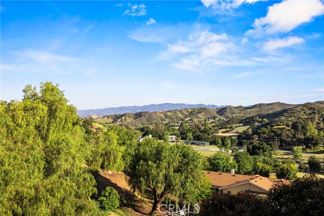 Detail Gallery Image 50 of 71 For 30737 Hasley Canyon Rd, Castaic,  CA 91384 - 4 Beds | 3 Baths