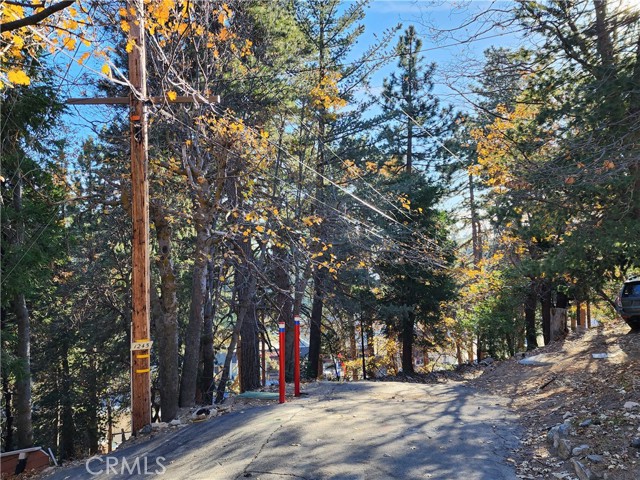0 Lovers Lane, Rimforest CA: https://media.crmls.org/medias/81536858-c88b-423c-9326-856773ad05ee.jpg