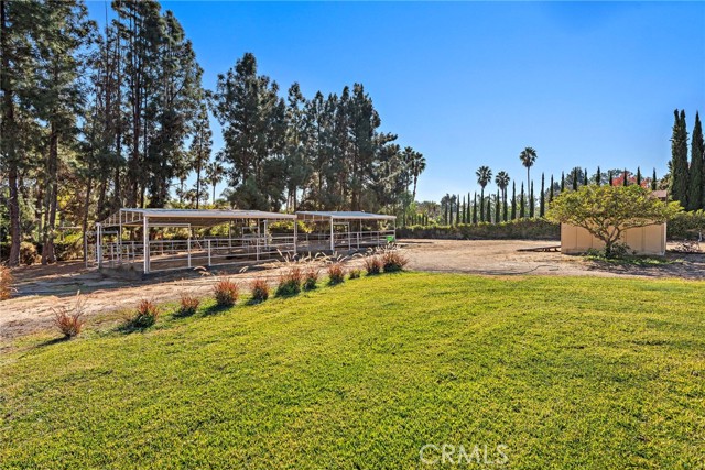 Detail Gallery Image 6 of 20 For 31593 Aguacate Rd, San Juan Capistrano,  CA 92675 - 4 Beds | 3/1 Baths