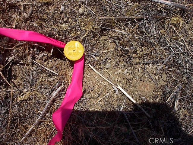 Detail Gallery Image 11 of 30 For 0 Cherry, El Mirage,  CA 92301 - – Beds | – Baths