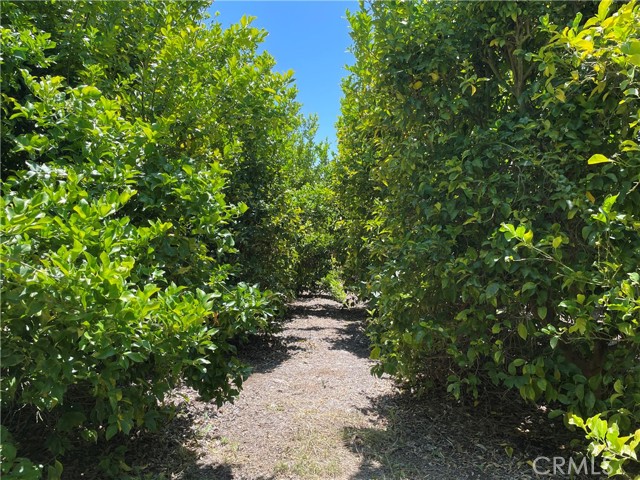 44952 Vista Del Mar, Temecula CA: https://media.crmls.org/medias/815abf37-cebf-4864-8379-e700bb63e56d.jpg