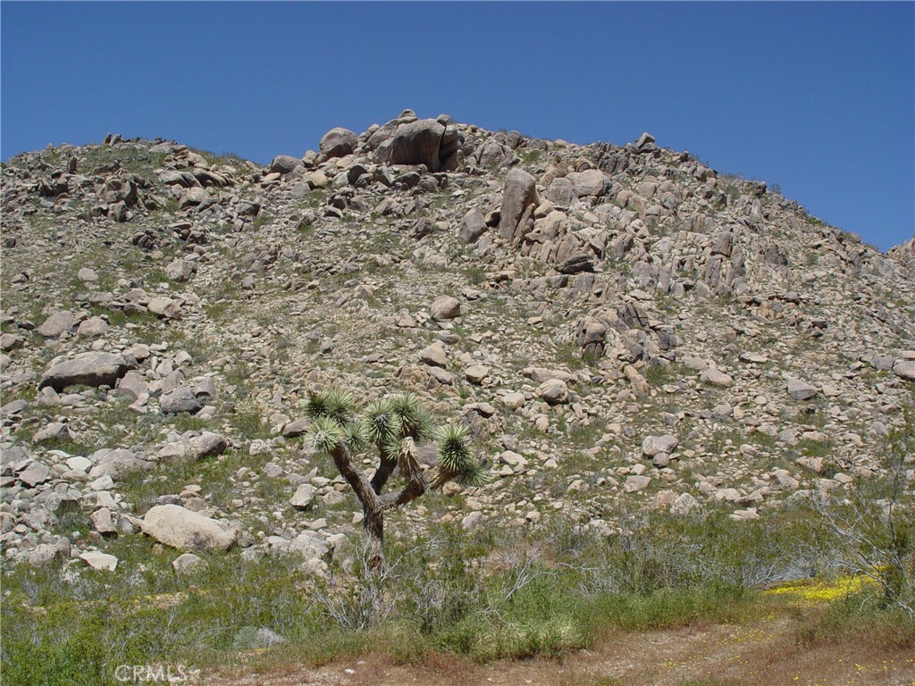 MLS #HD26154562 image #13