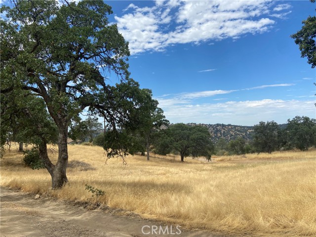 0 Hogans Mountain RD, Coarsegold, California 93614, ,Land,For Sale,0 Hogans Mountain RD,CRMP23147543