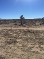 0 PALMDALE RD, Victorville, California 92392, ,Land,For Sale,0 PALMDALE RD,CRHD23130915