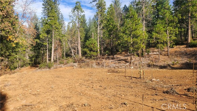 1 Coutolenc Road, Magalia, California 95954, ,Land,For Sale,1 Coutolenc Road,CRSN23217034