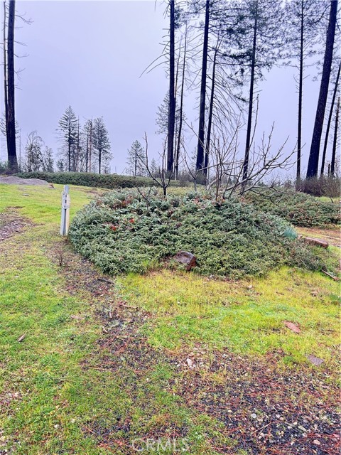 Detail Gallery Image 2 of 8 For 6772 Quail, Paradise,  CA 95969 - – Beds | – Baths