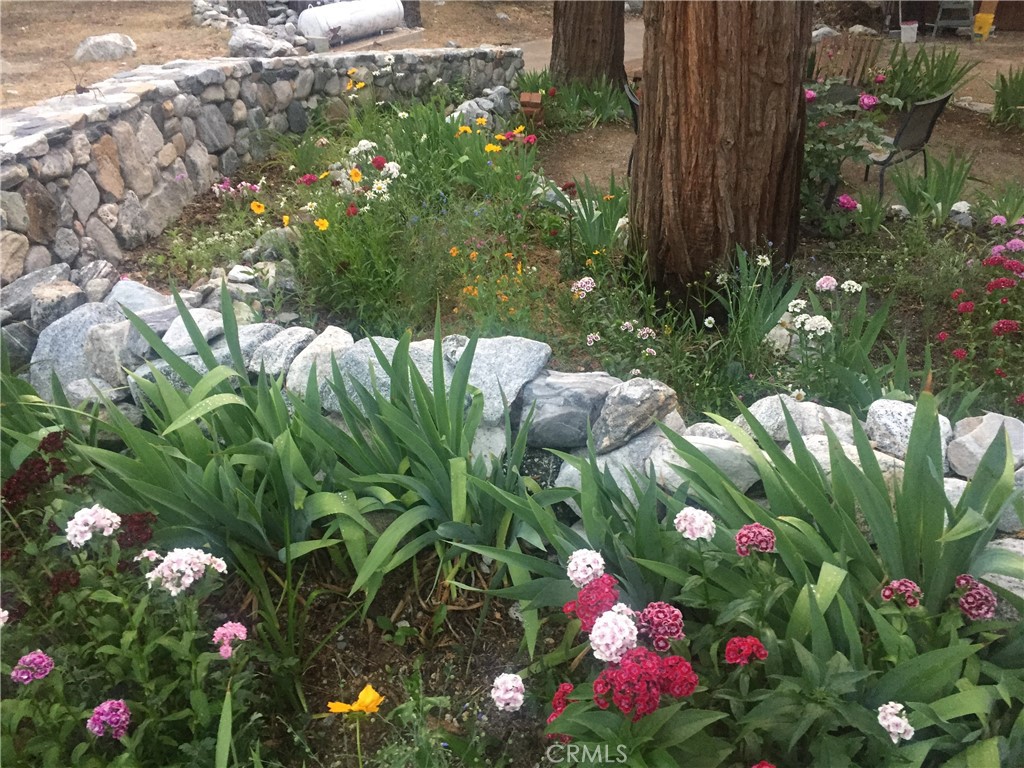 https://media.crmls.org/medias/81723388-1e9f-4441-b6ef-91ea39019294.jpg?preset=X-Large