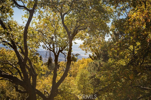 2461 Spring Oak Drive, Running Springs CA: https://media.crmls.org/medias/8172eae5-6873-4938-abc3-d1b98ccbb0ad.jpg