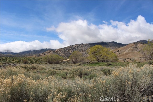 Details for 1790 S Kelso Road, Weldon, CA 93283