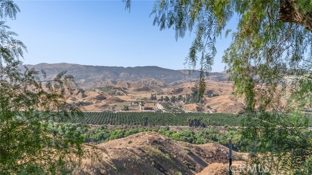 Detail Gallery Image 69 of 75 For 1204 W Sunset Dr, Redlands,  CA 92373 - 4 Beds | 4 Baths