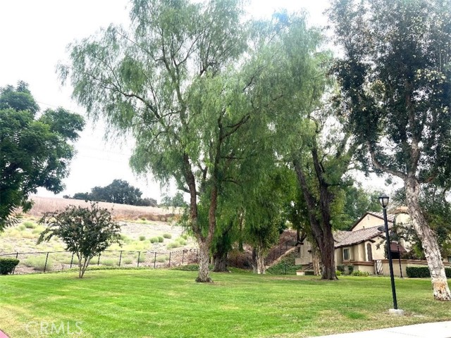 22 Mesquite photo 32