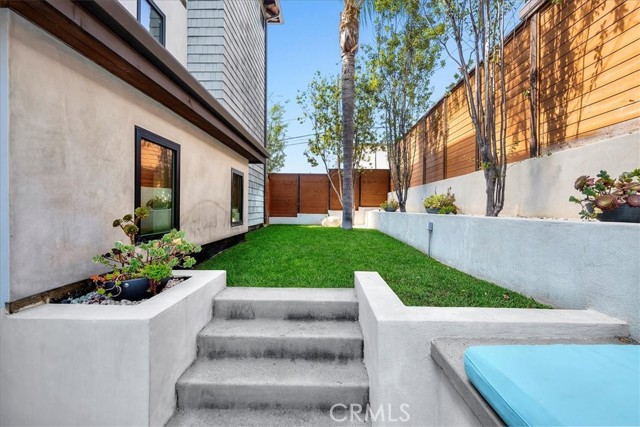 Back yard