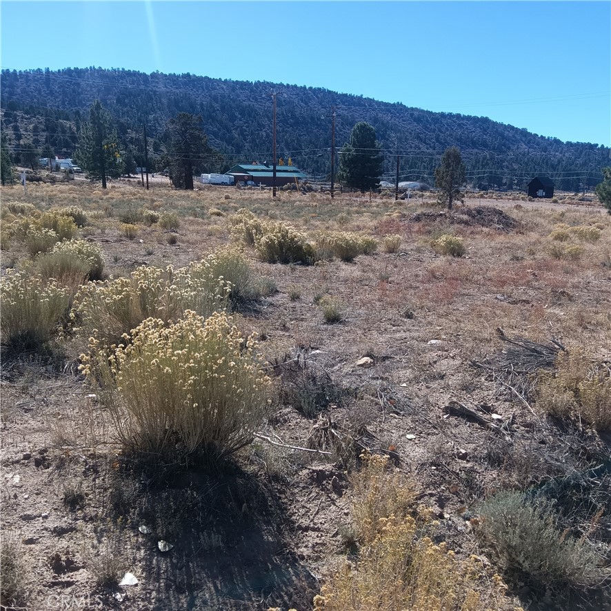 MLS #JT25255966 image #6