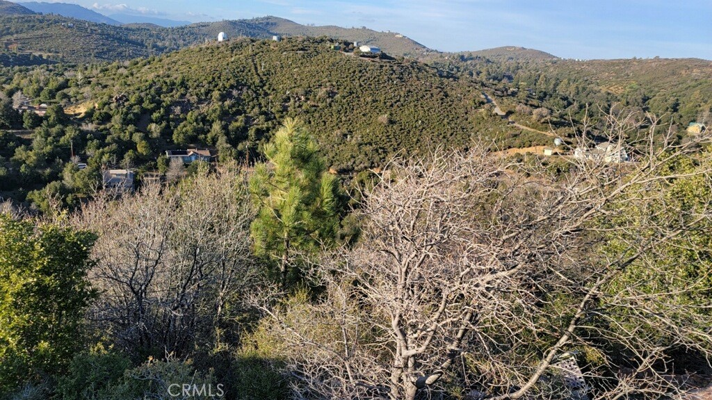 MLS #SW24069084 img 4