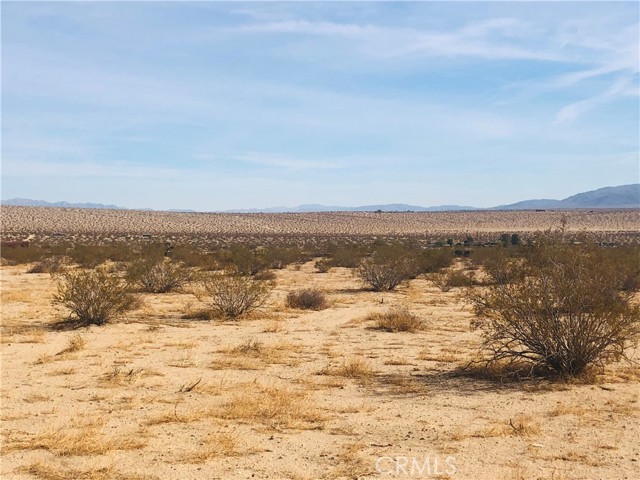 Detail Gallery Image 5 of 7 For 0 Ranier Rd, Joshua Tree,  CA 92252 - – Beds | – Baths