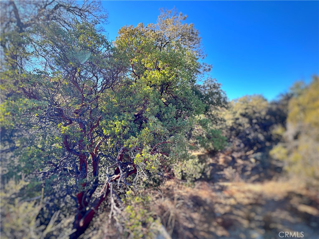 https://media.crmls.org/medias/81868f6d-5f80-4411-a87e-74a6bbd0ca7a.jpg?preset=X-Large