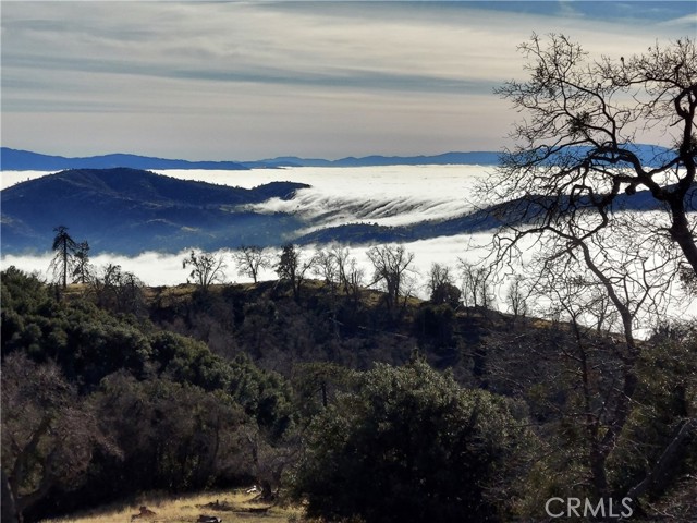 29600 Goldspike Road, Tehachapi CA: https://media.crmls.org/medias/8189f7cc-e936-4ae8-9a12-bfd5b047b0e0.jpg