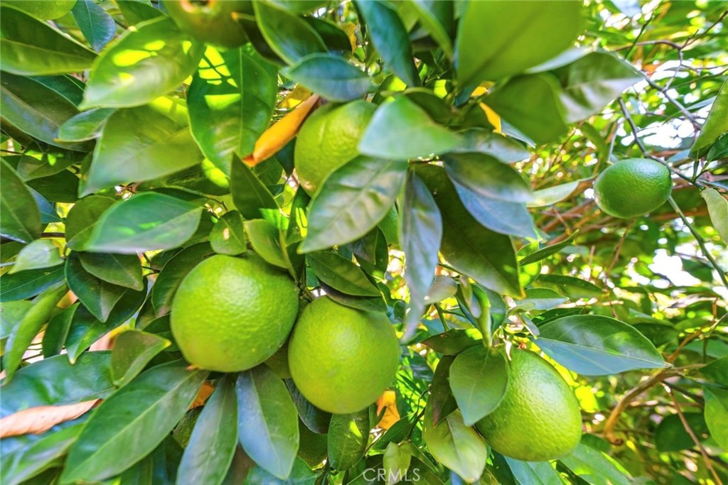 https://media.crmls.org/medias/818f9763-b0d0-4ca3-8a28-57bfa12c3490.jpg?preset=X-Large