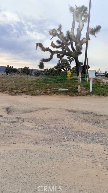 Detail Gallery Image 8 of 11 For 51 W Vic Ave 51st Stw Ave K-2, Quartz Hill,  CA 93536 - – Beds | – Baths