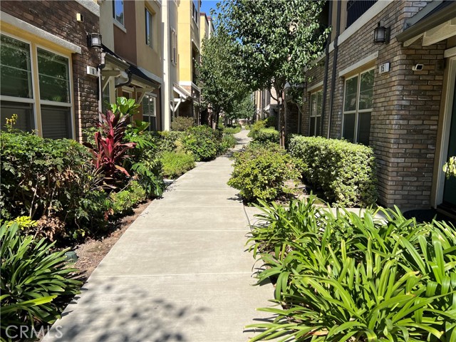 Walk Path