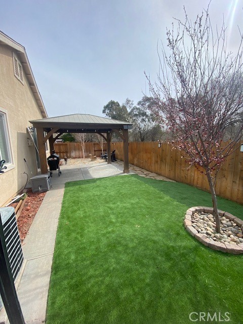 Backyard turf