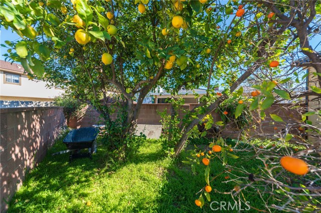 Detail Gallery Image 31 of 36 For 12042 Hackamore, Garden Grove,  CA 92840 - 3 Beds | 2 Baths