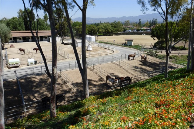 Detail Gallery Image 9 of 11 For 4025 Calle Sonora Este 1e,  Laguna Woods,  CA 92637 - 2 Beds | 2 Baths