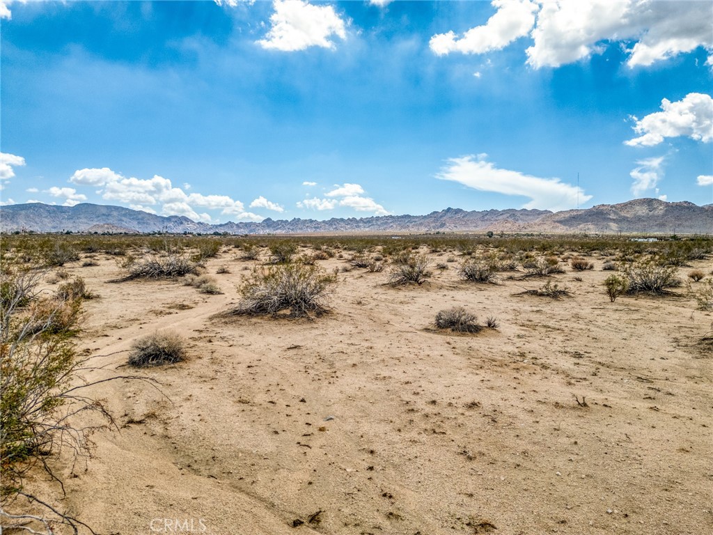 MLS #JT25253211 image #9