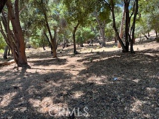 7878 Soda Bay Road, Kelseyville CA: https://media.crmls.org/medias/81b10314-f418-45c0-ac66-284d12b1cd5b.jpg