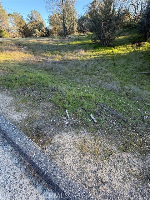 Detail Gallery Image 20 of 25 For 0 Long Hollow Lot 1631, Coarsegold,  CA 93614 - – Beds | – Baths